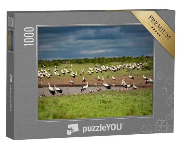 Puzzle 1000 Teile „Ein Schwarm Weißstörche an einer Wasserstelle“