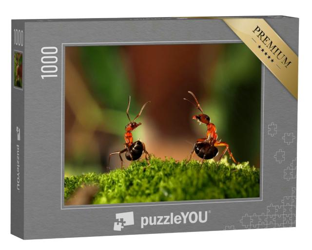 Puzzle 1000 Teile „Der Kampf zweier Ameisen“