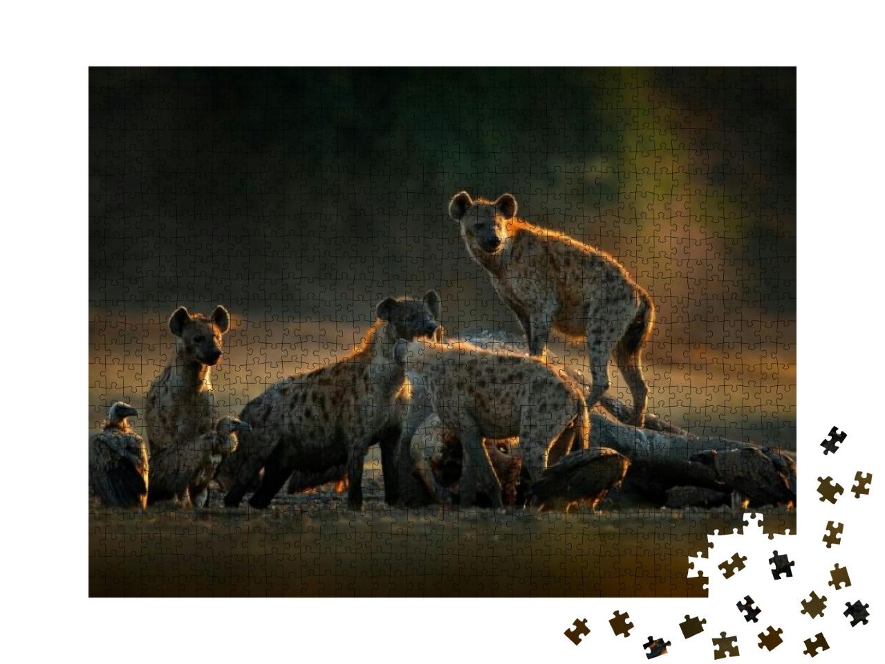 Puzzle 1000 Teile „Hyänen-Rudel und Aasgeier am Elefantenkadaver, Simbabwe“