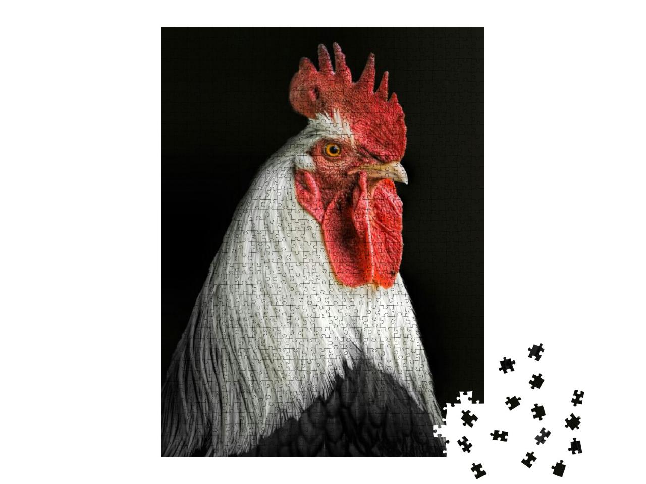 Puzzle 1000 Teile „Porträt eines Hahnes“