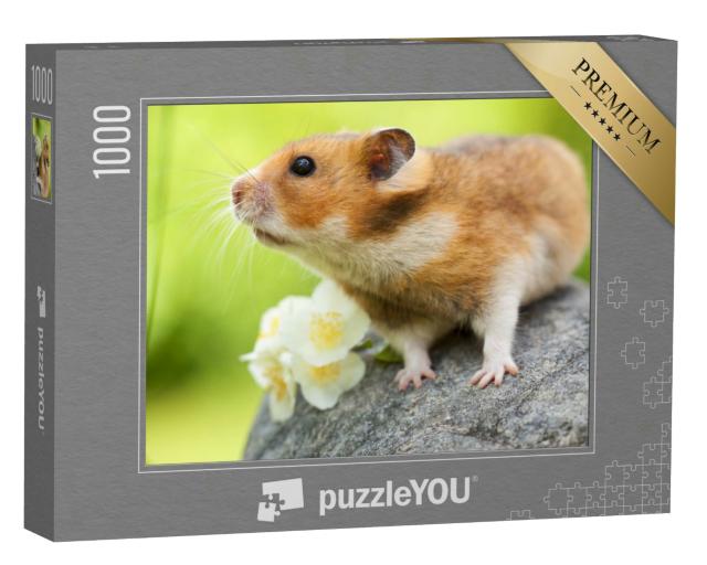 Puzzle 1000 Teile „Niedlicher Hamster auf einem Stein“