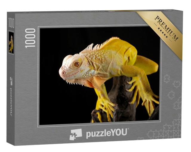 Puzzle 1000 Teile „Gelber Leguan“