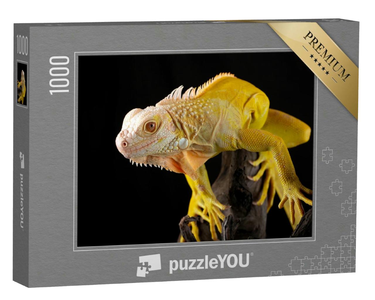 Puzzle 1000 Teile „Gelber Leguan“