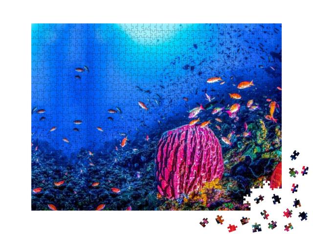 Puzzle 1000 Teile „Korallenfische in der bunten Unterwasserwelt“