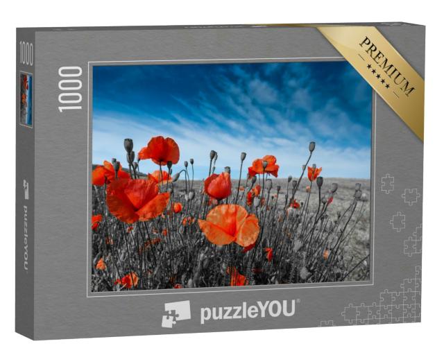 Puzzle 1000 Teile „Mohnblumen auf einer Wiese“