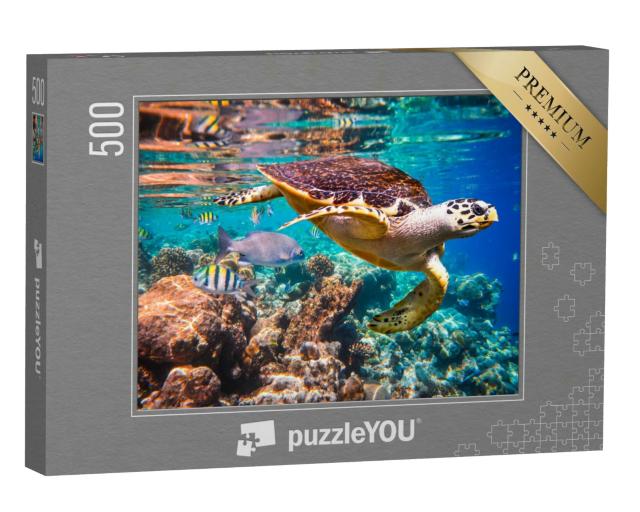 Puzzle 500 Teile „Echte Karettschildkröte im Korallenriff“