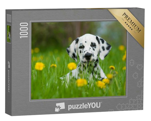 Puzzle 1000 Teile „Dalmatiner“