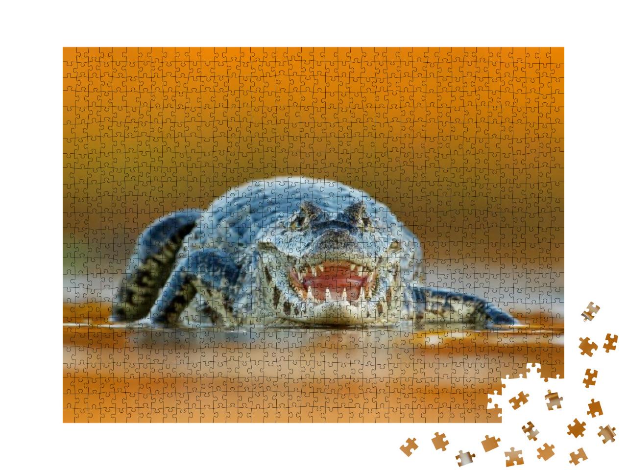 Puzzle 1000 Teile „Yacare Caiman, Krokodil mit offener Schnauze und großen Zähnen“