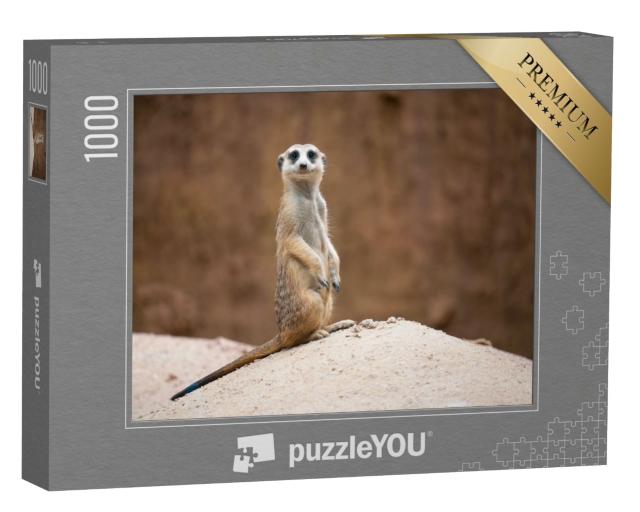 Puzzle 1000 Teile „Niedliches Erdmännchen, Suricata suricatta, auf einem Felsen stehend“