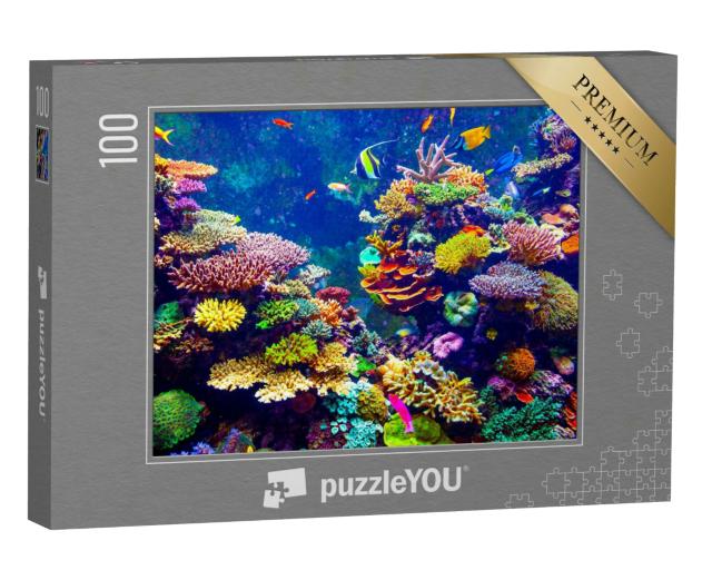 Puzzle 100 Teile „Singapur Aquarium - Korallenriff und tropische Fische im Sonnenlicht“
