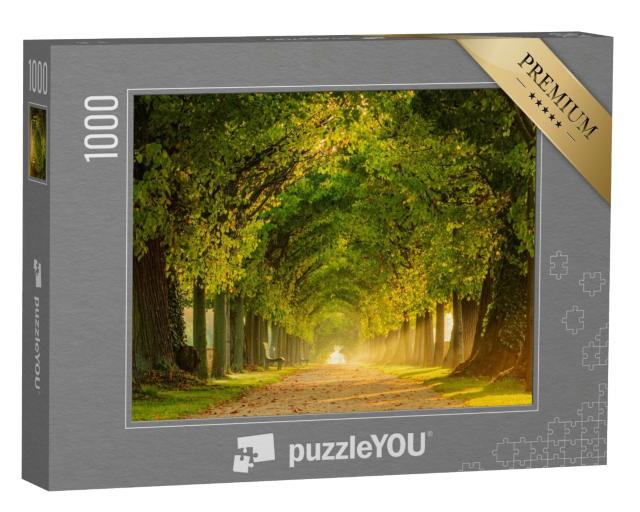 Puzzle 1000 Teile „Ein Park bei Sonnenaufgang mit Lindenallee“