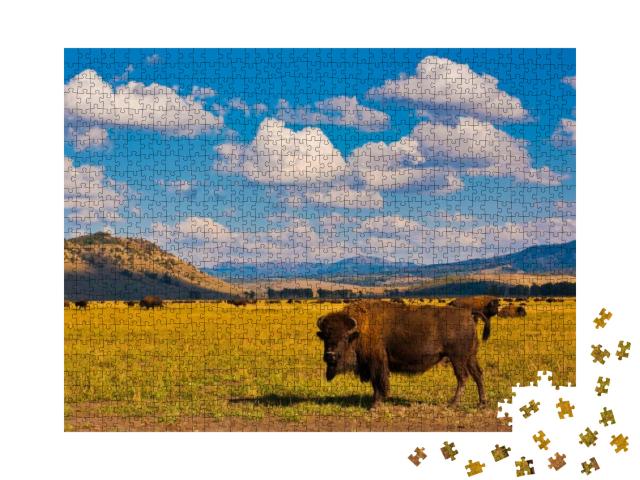 Puzzle 1000 Teile „Freiheit für Bisons im Yellowstone-Nationalpark, USA“