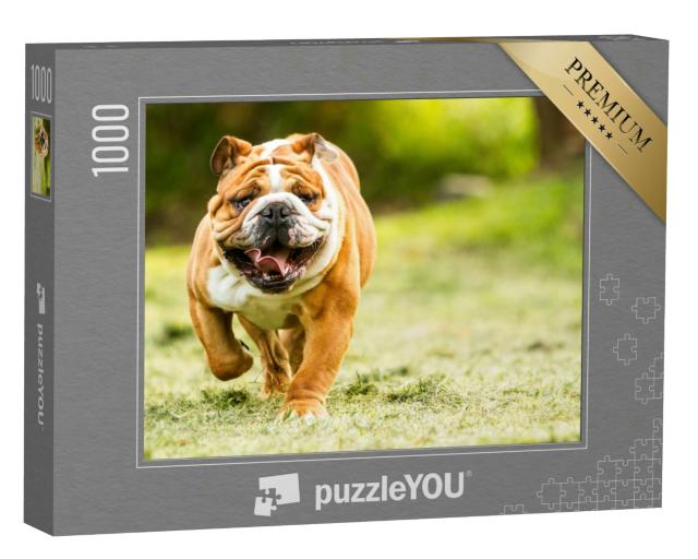 Puzzle 1000 Teile „Bulldogge auf einer Wiese“