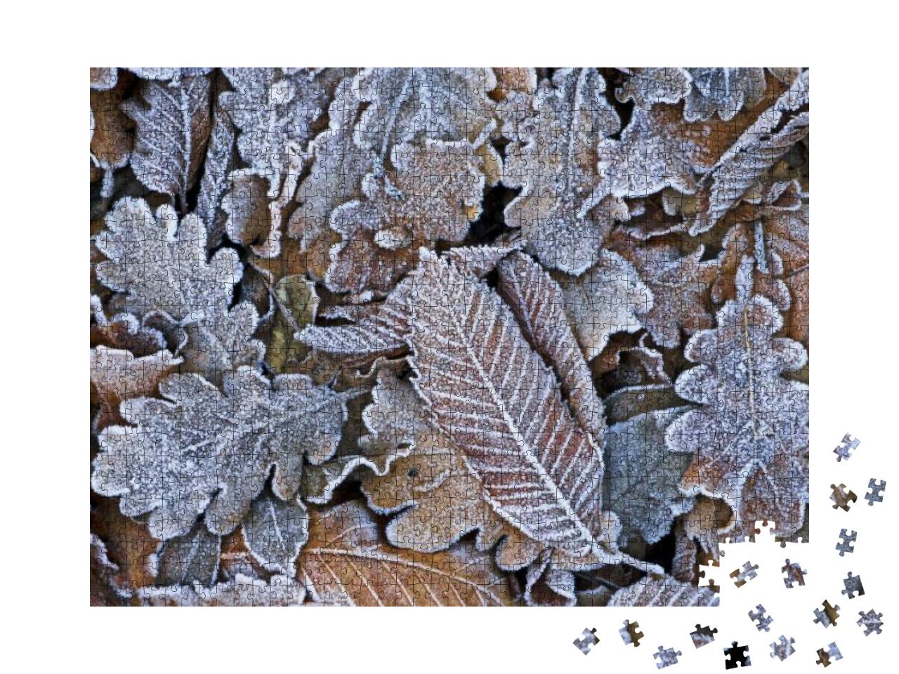Puzzle 1000 Teile „Frostbedeckte Laubblätter zum Winterbeginn“