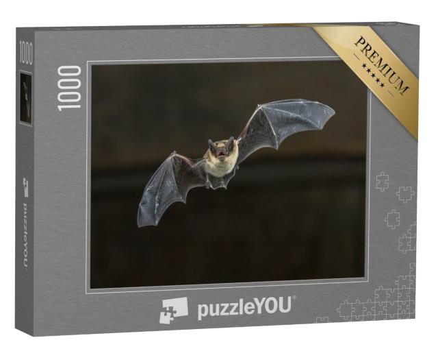 Puzzle 1000 Teile „Flugstudie einer Zwergfledermaus“
