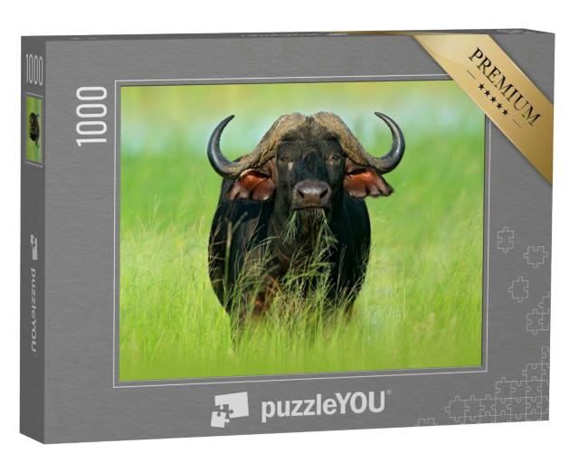 Puzzle 1000 Teile „Afrikanischer Büffel im Okavango-Delta, Botswana“