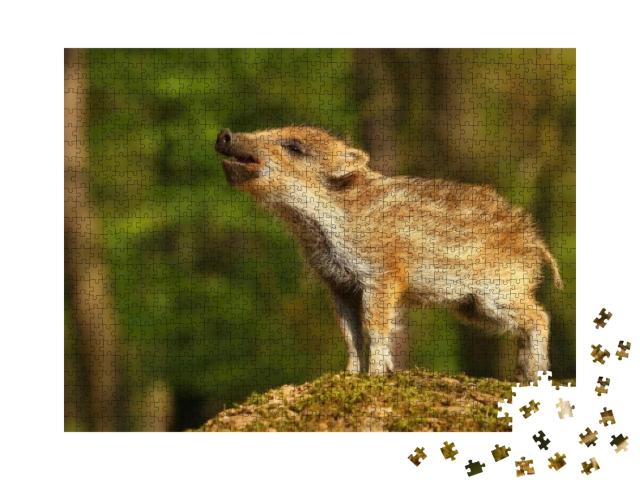 Puzzle 1000 Teile „Gestreiftes Wildschweinbaby im Wald “