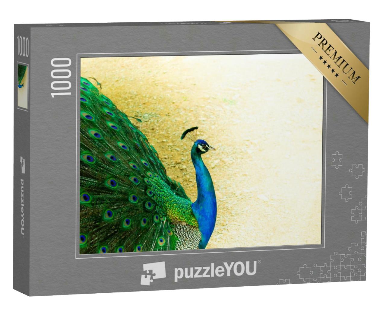 Puzzle 1000 Teile „Nahaufnahme eines schönen indischen Pfauenmännchens“