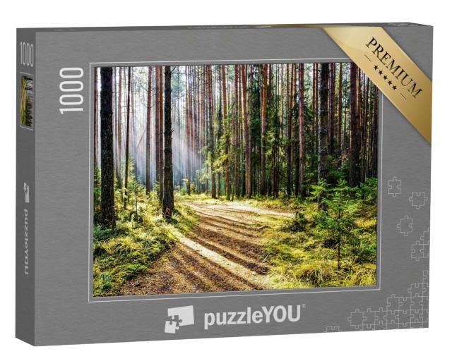 Puzzle 1000 Teile „Weg im friedlichen Wald mit Sonnenstrahlen“