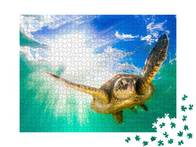 Puzzle 1000 Teile „Grüne Meeresschildkröte im Pazifischen Ozean “
