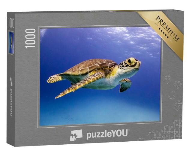 Puzzle 1000 Teile „Junge Hawksbill-Schildkröte beim Schwimmen, Bahamas“