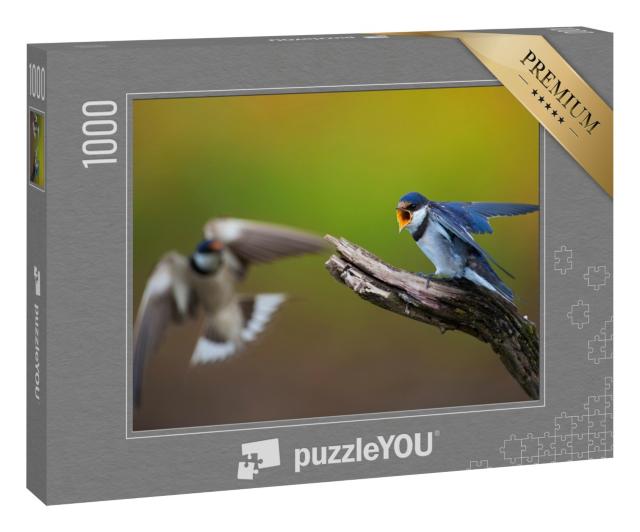 Puzzle 1000 Teile „Zwei Weißkehlschwalben in einem Wettstreit“