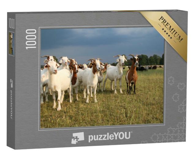 Puzzle 1000 Teile „Ziegenherde und Schafherde in der Lüneburger Heide  “