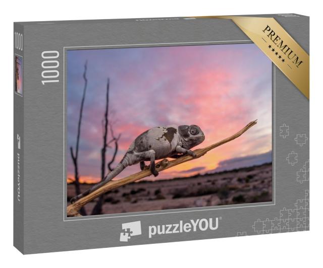 Puzzle 1000 Teile „Gewöhnliches Chamäleon bei Sonnenuntergang, Spanien“