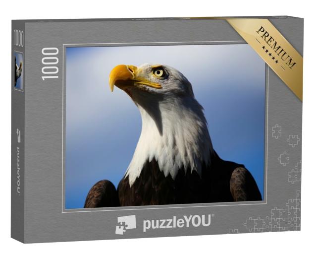 Puzzle 1000 Teile „Weißkopfseeadler mit blauem Himmel“