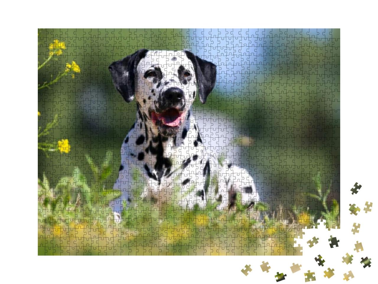 Puzzle 1000 Teile „Dalmatiner im Sommer“