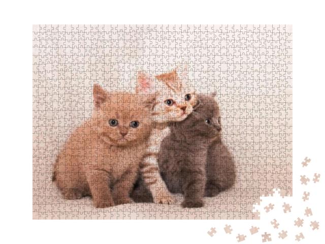 Puzzle 1000 Teile „Drei süße Kätzchen auf einem weißen Plaid“