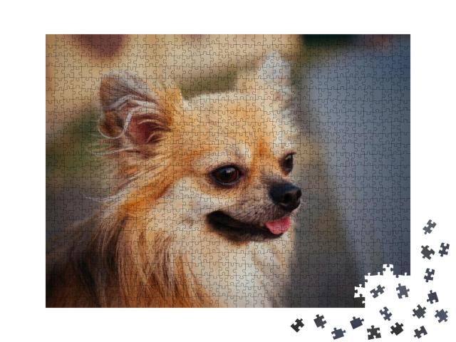Puzzle 1000 Teile „Porträt eines langhaarigen Chihuahuas im Freien“