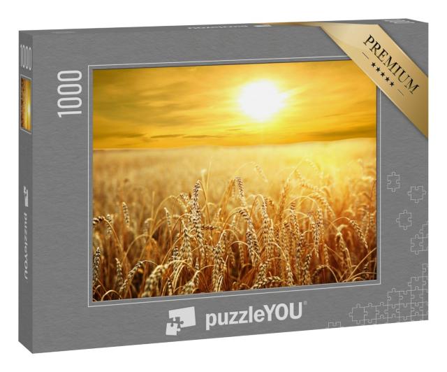 Puzzle 1000 Teile „Sonnenuntergang über dem goldenen Weizenfeld“