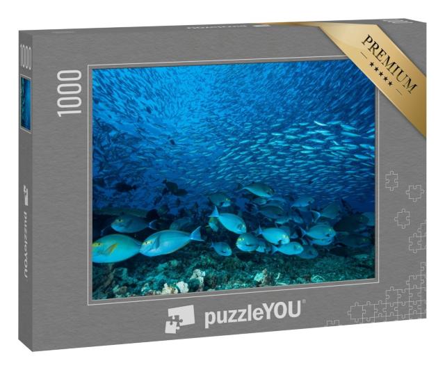 Puzzle 1000 Teile „Riesiger Schwarm blauer Doktorfische am Riff“