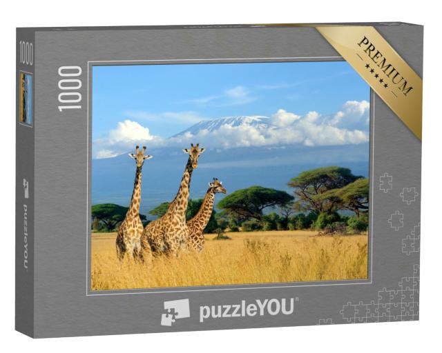 Puzzle 1000 Teile „Drei Giraffen im Nationalpark von Kenia“