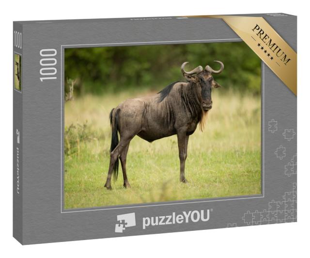 Puzzle 1000 Teile „Aufmerksames Streifengnu“