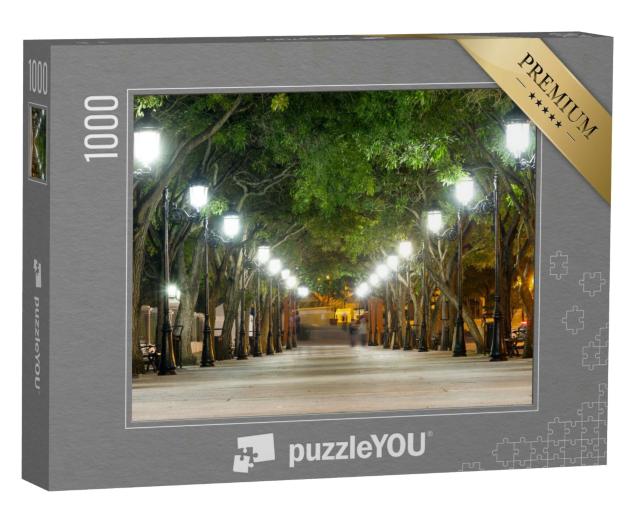 Puzzle 1000 Teile „Paseo de la Princesa, Puerto Rico“