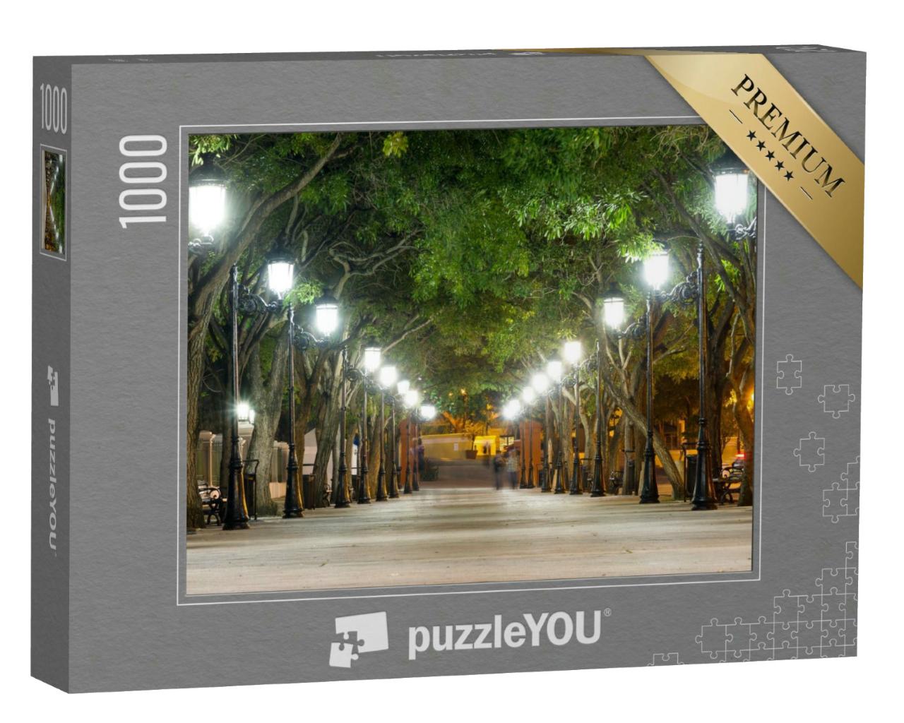 Puzzle 1000 Teile „Paseo de la Princesa, Puerto Rico“