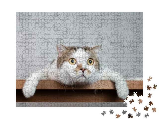Puzzle 1000 Teile „Eine überraschte Katze“