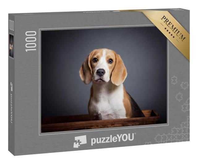 Puzzle 1000 Teile „Porträt eines Beagle-Welpen“