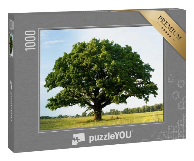 Puzzle 1000 Teile „Einsame grüne Eiche auf dem Feld“
