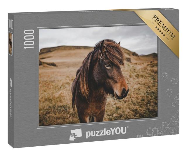 Puzzle 1000 Teile „Island-Pferd in Nahaufnahme“