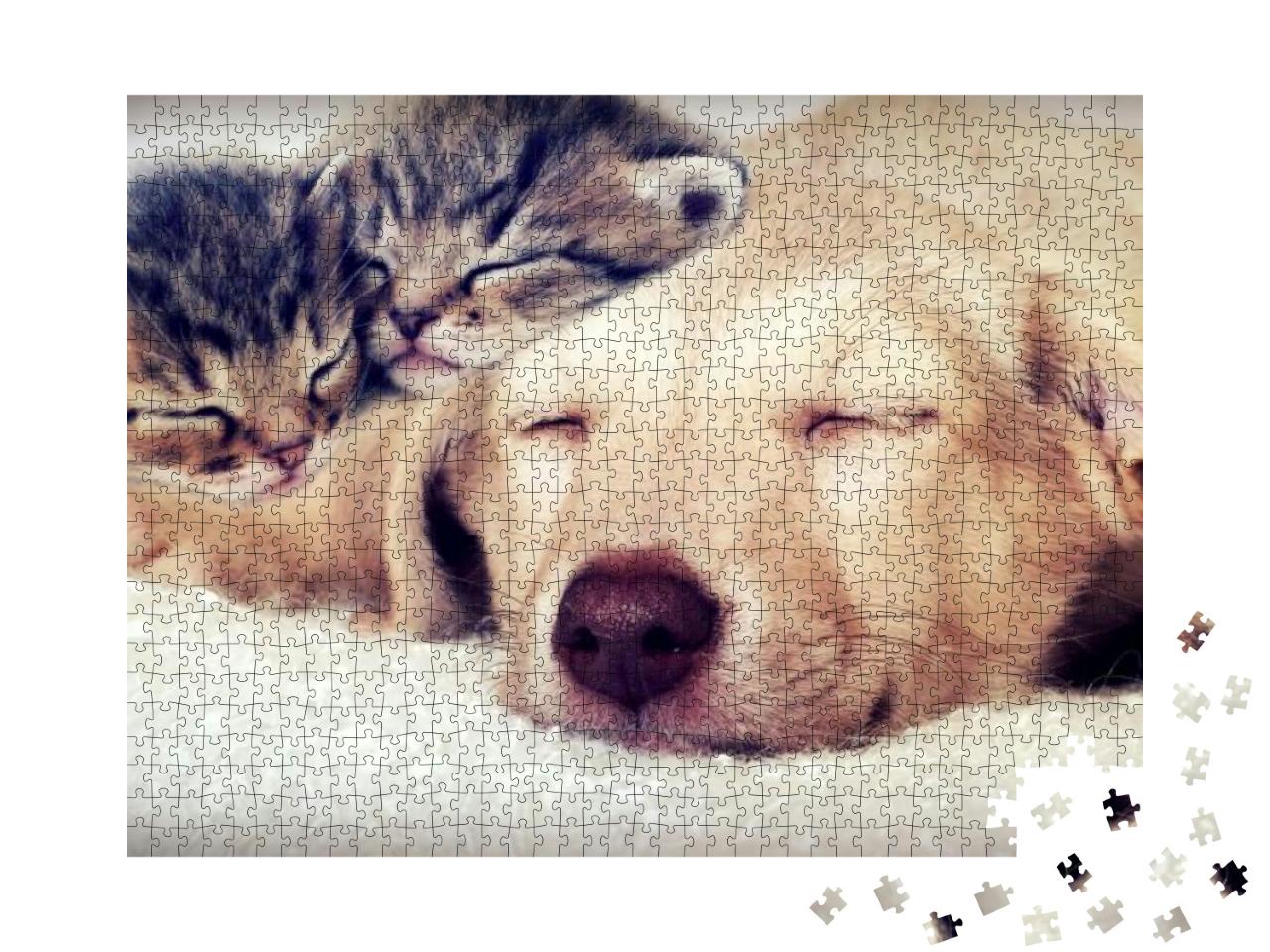 Puzzle 1000 Teile „Welpe und Kätzchen schlafen“