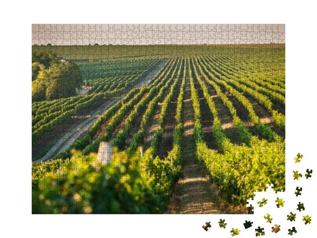 Puzzle 1000 Teile „Weinberg für den Weinanbau im Sommer“