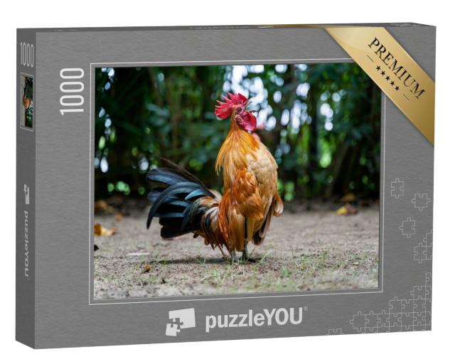 Puzzle 1000 Teile „Ein Hahn kräht aus vollem Hals“