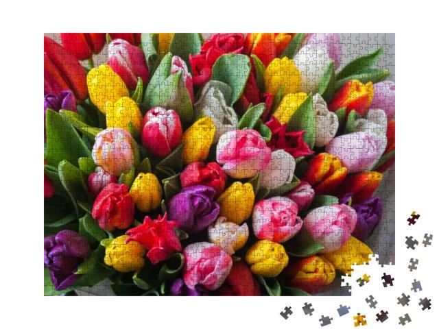 Puzzle 1000 Teile „Wunderschöne verschiedenfarbige Frühlingstulpen “