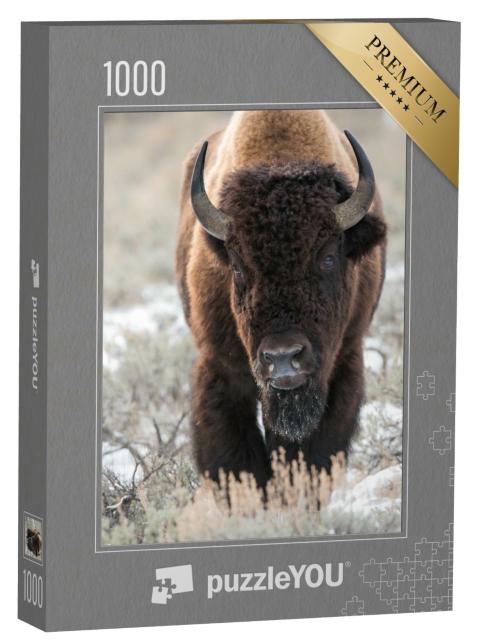 Puzzle 1000 Teile „Ein Bison, Büffel“