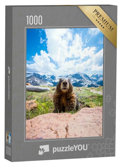 Puzzle 1000 Teile „Ein neugieriges Murmeltier im Rocky Mountain National Park, Kalifornien“