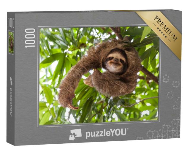 Puzzle 1000 Teile „Faultier in seinem natürlichen Lebensraum“