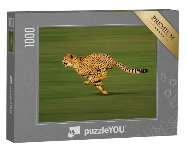 Puzzle 1000 Teile „Ausgewachsener Gepard im Sprint“